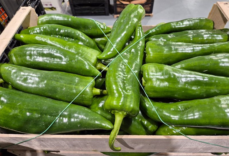 Peperone corno - Sicilia - 2,00/2,20 euro al chilogrammo